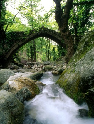 ピリオン山のイメージ写真