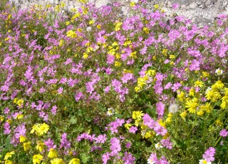 ボロス山間の風景イメージ写真